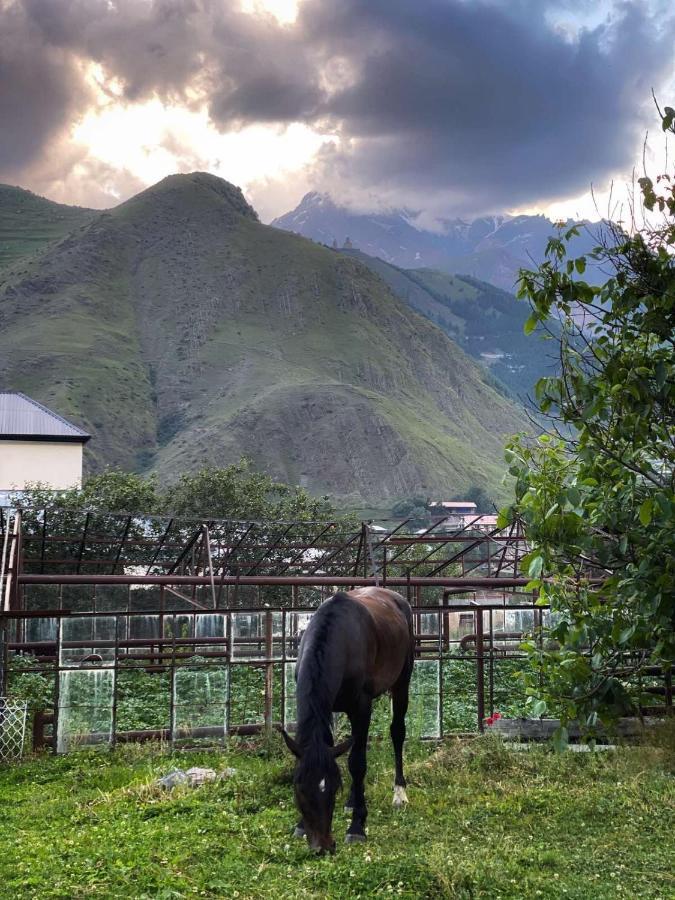 Dato Khetaguri Apartment Kazbegi Eksteriør billede