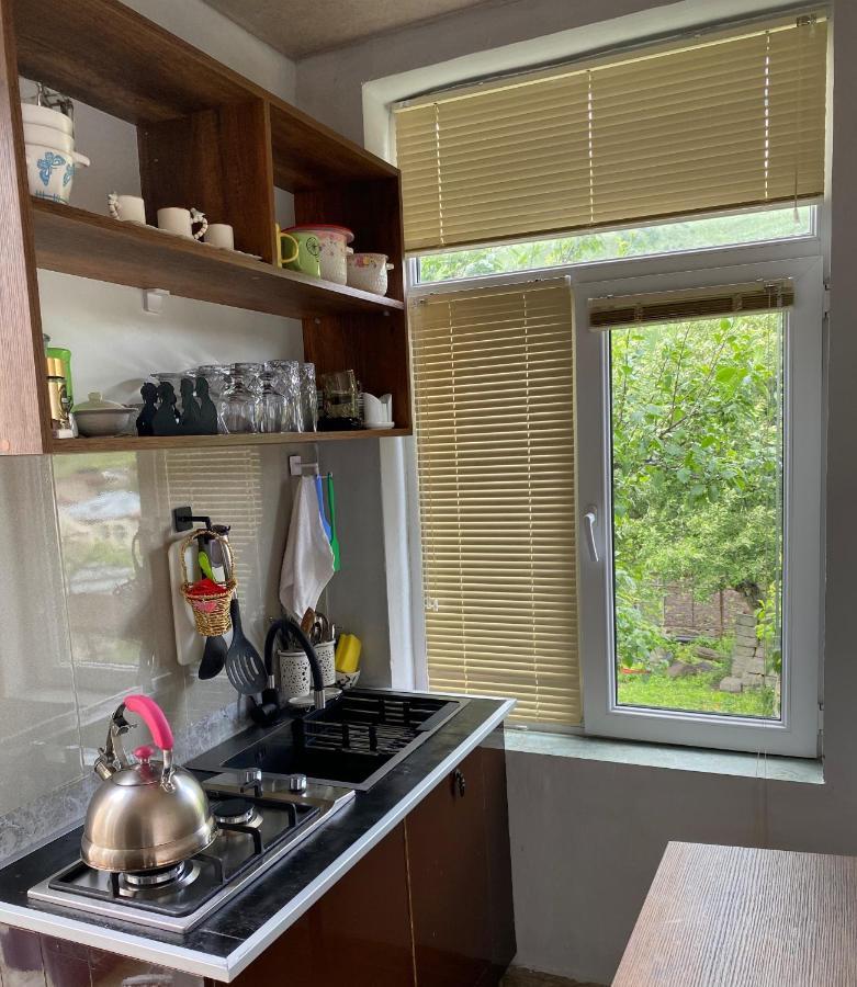 Dato Khetaguri Apartment Kazbegi Eksteriør billede
